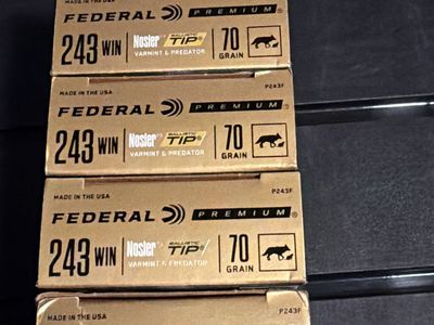 243 ammo