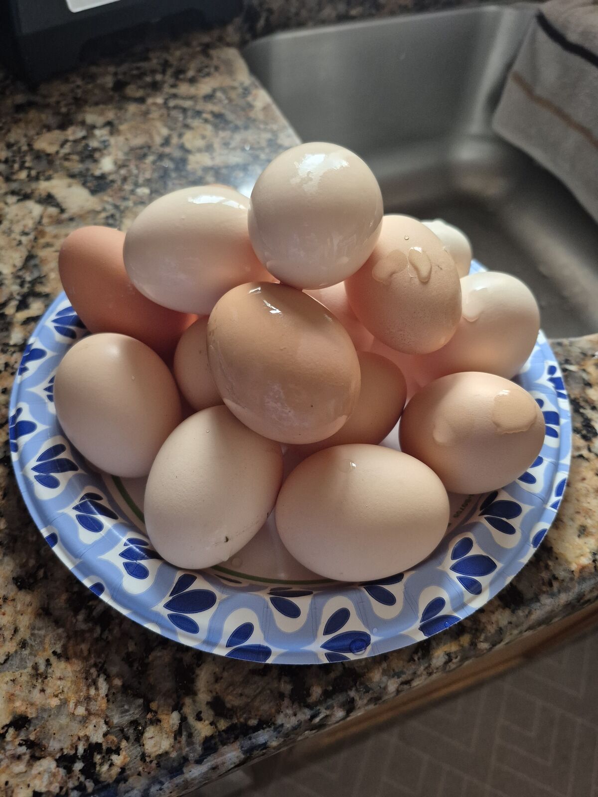 Fresh free range eggs