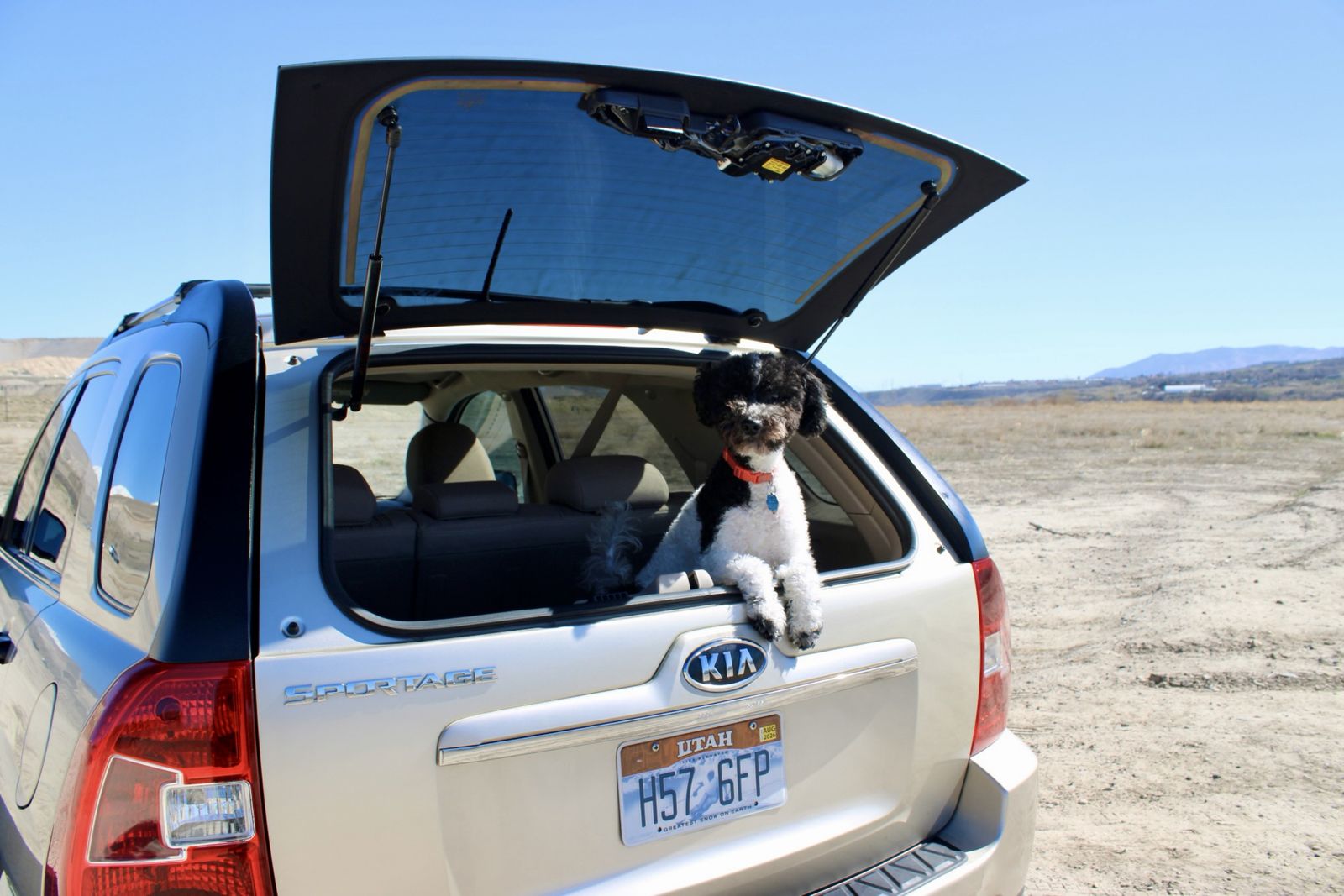 2010 KIA SPORTAGE Limited