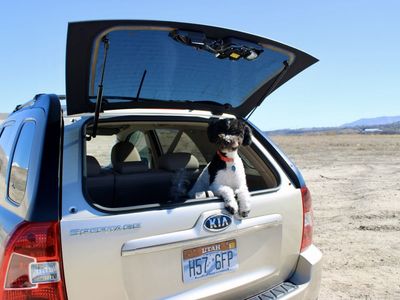 2010 KIA SPORTAGE Limited