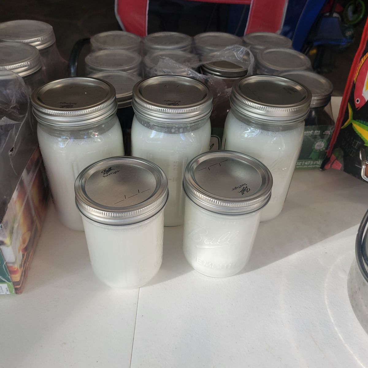 Fresh Raw Goats Milk