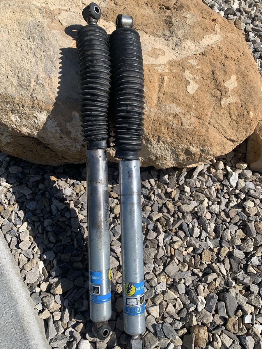 Bilstein 5100 Rear Shocks