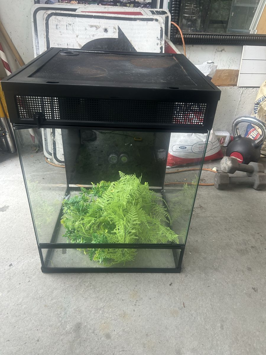Thrive terrarium