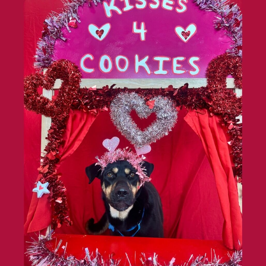 Hello my name is Finley