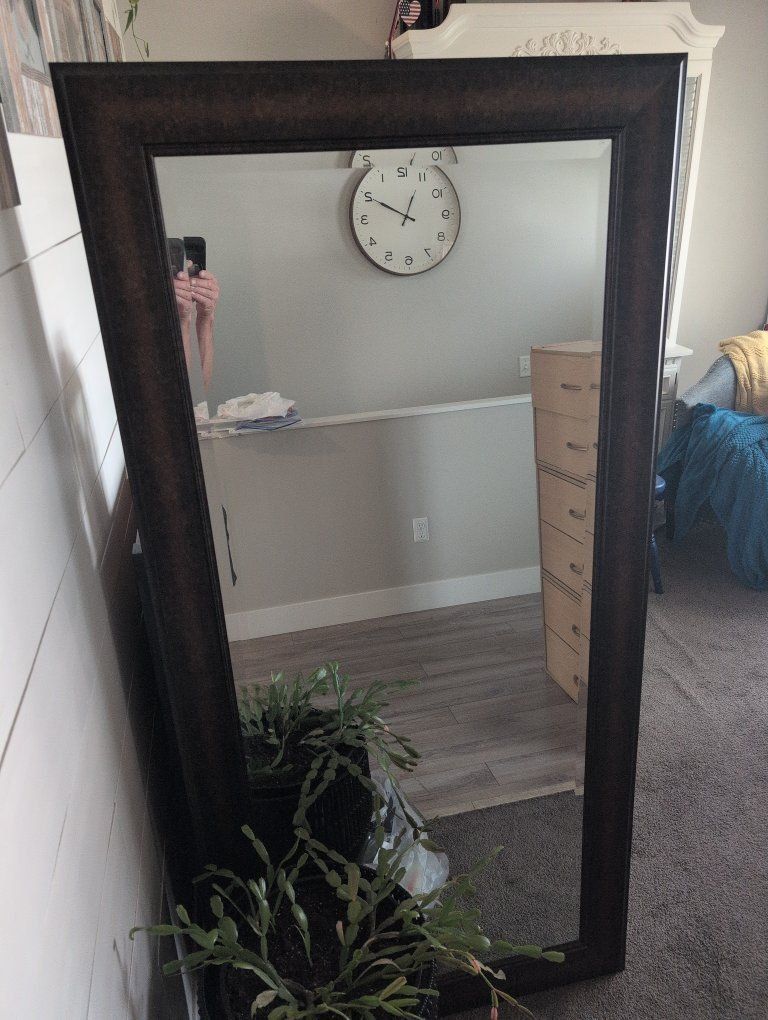 Large Decorative Wall Mirror with Dark Bronze Distressed Wood Frame 32x66