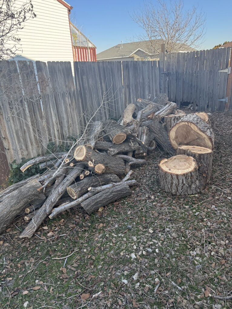 Free Firewood