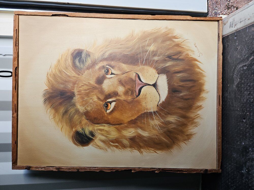 5'x4' Original Lion Canvas Painting