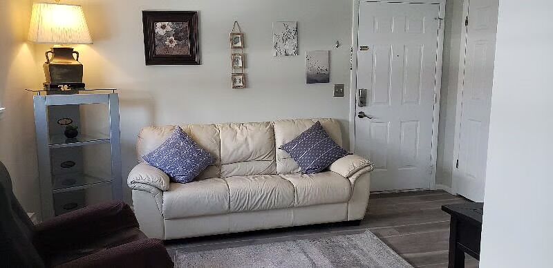 Fully Furnished Roommate Wanted
