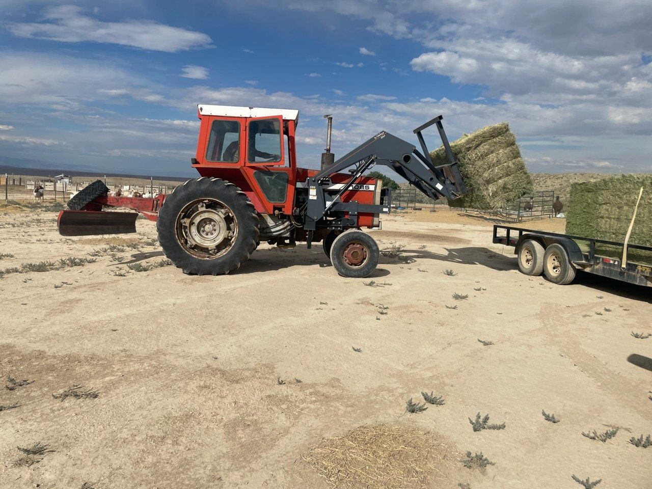 1974 Massey ferguson tractor