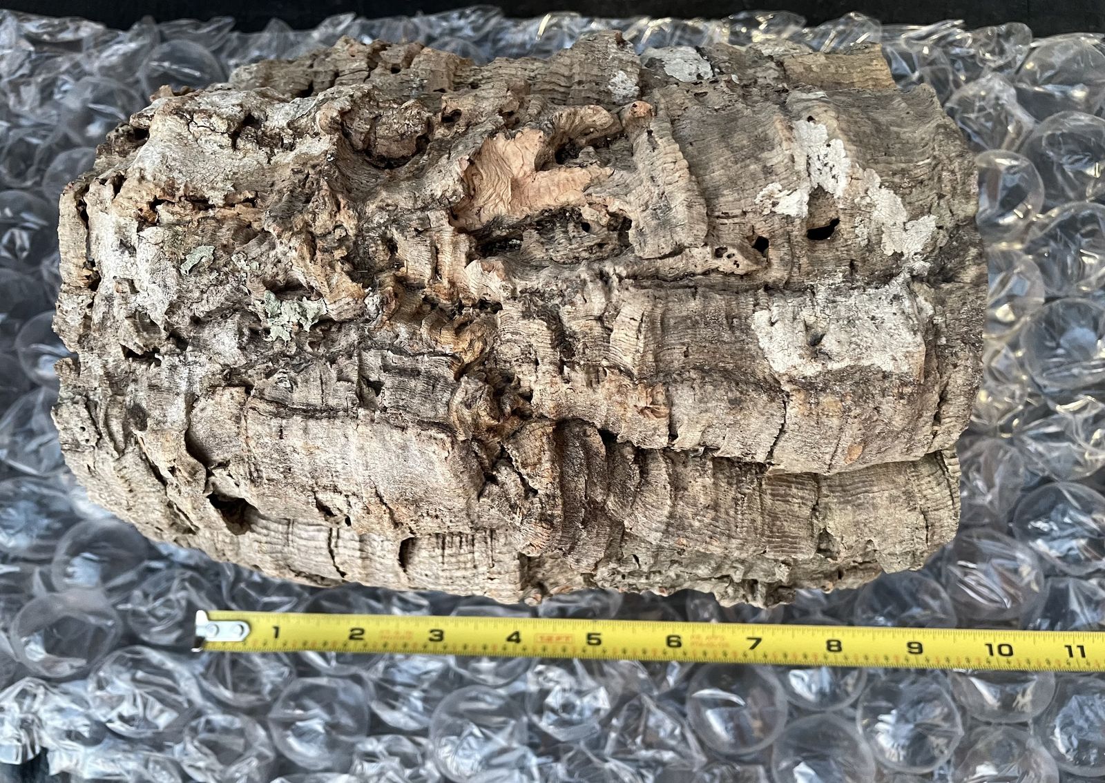 large cork round new unused sanitary