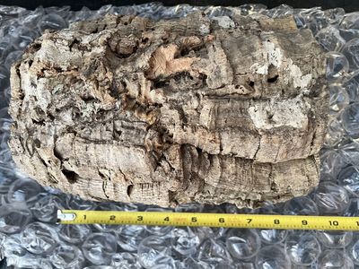 large cork round new unused sanitary