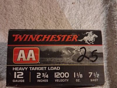 Heavy Target Load 12-gauge shotgun