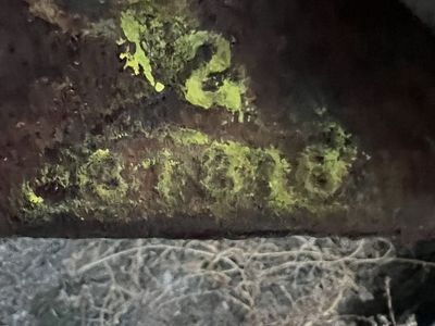 1976 Chevrolet Silverado Axles