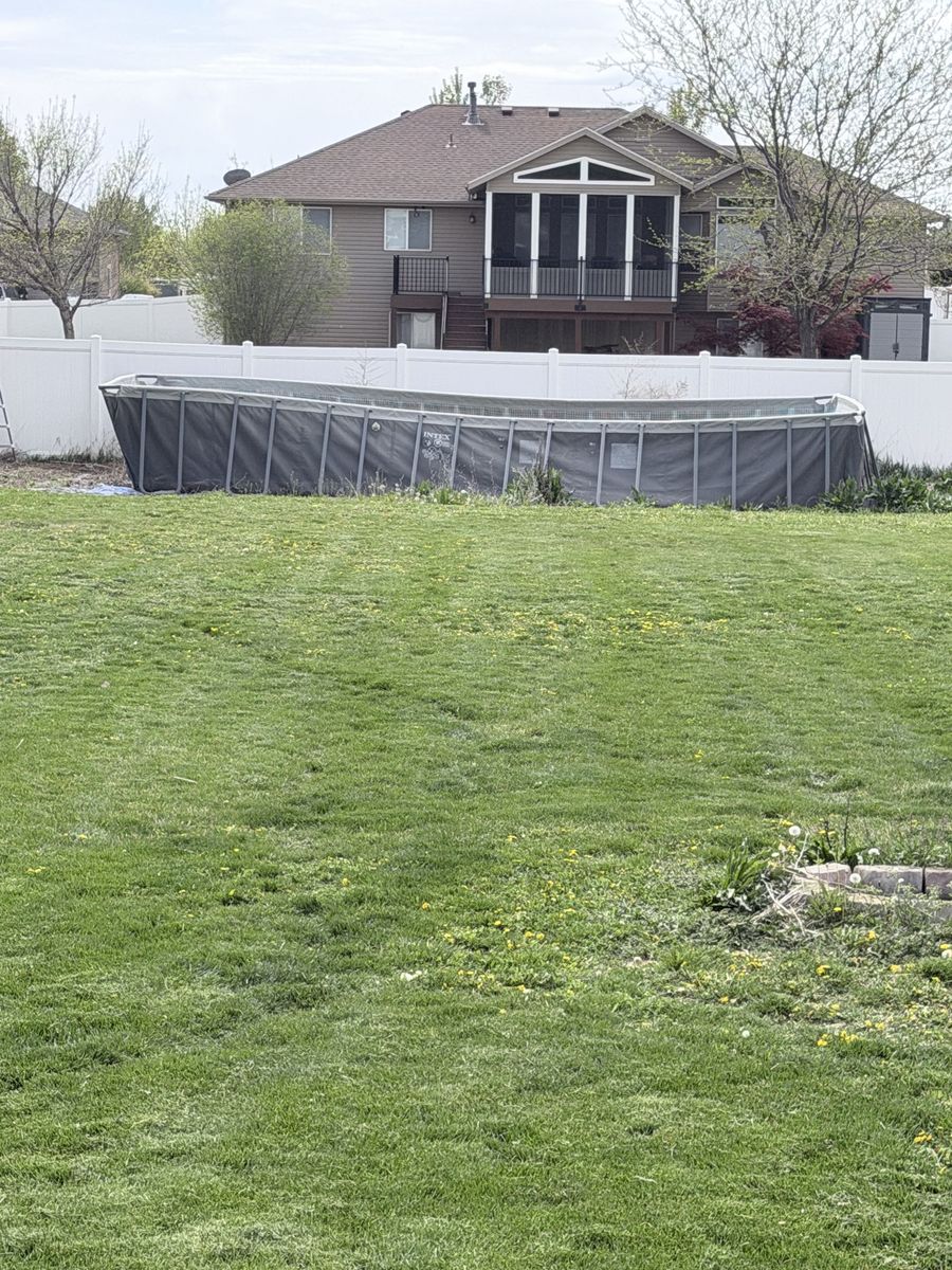 **Free** Intex Swimming Pool