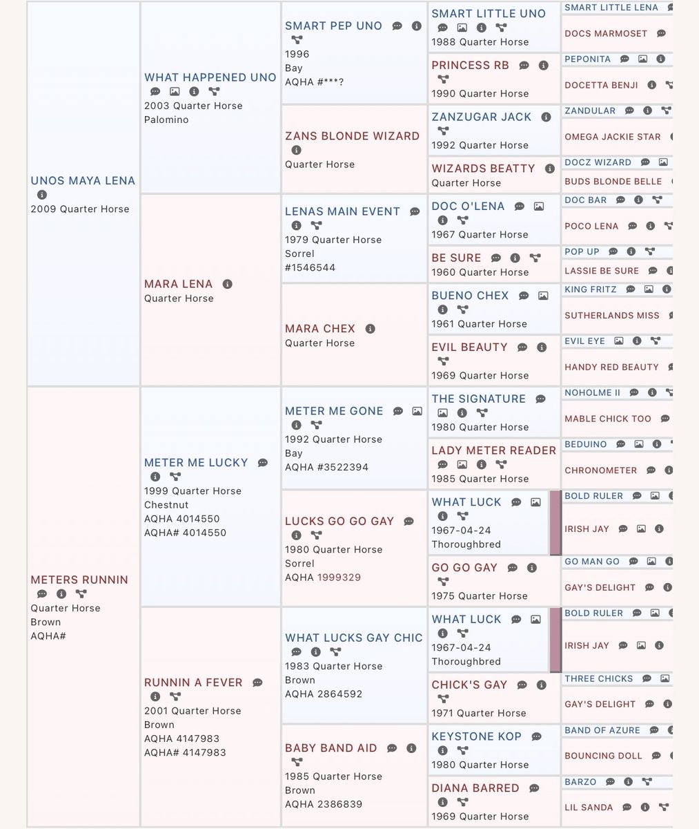 Main image 4