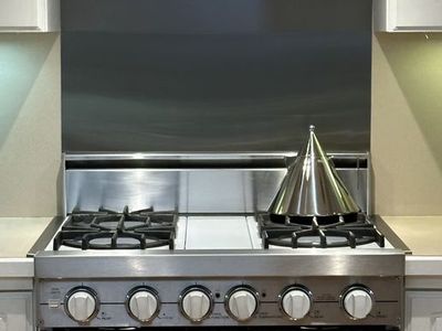 Viking Professional Range with Matching vent hood