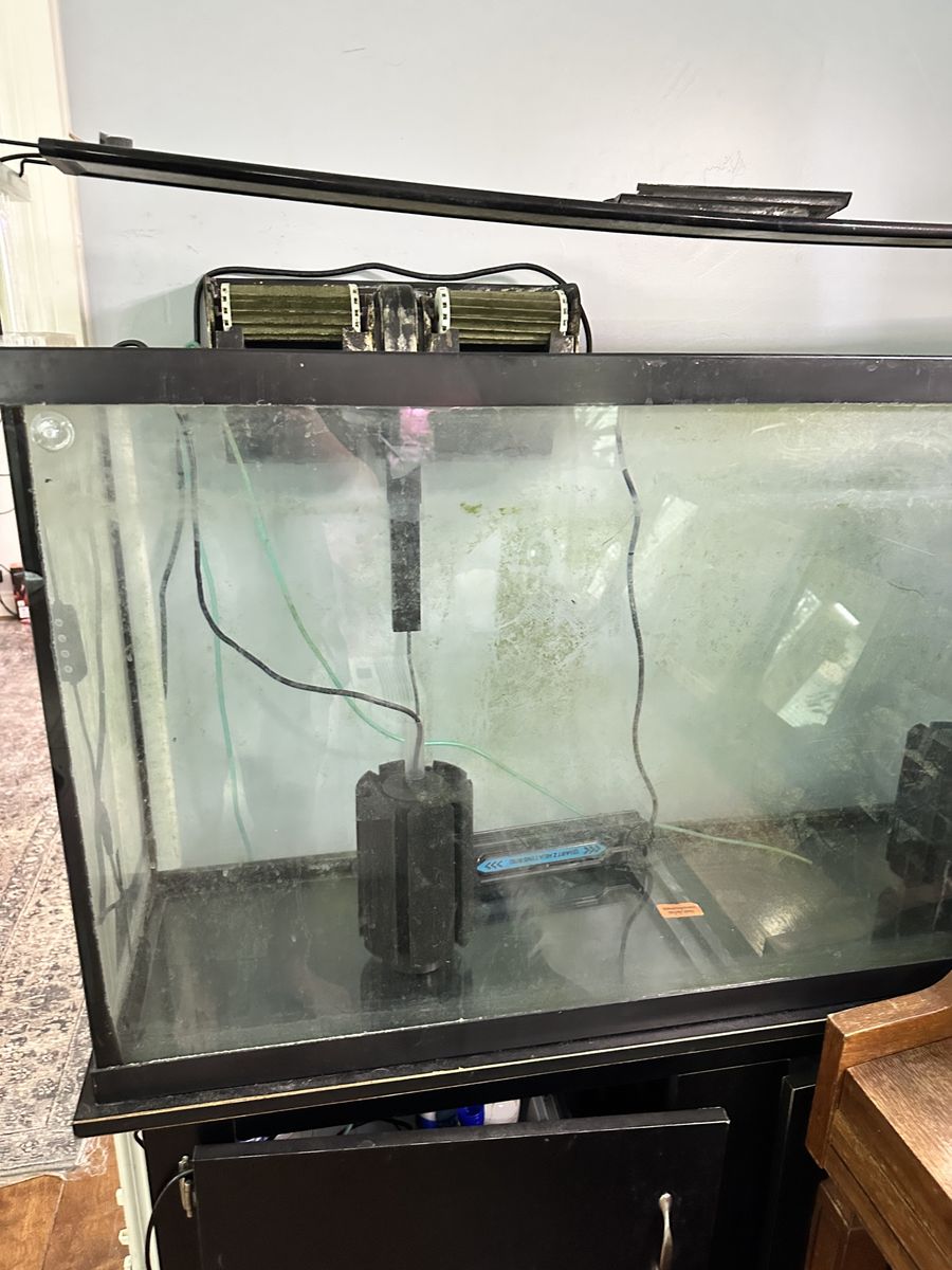 65 gallon aquarium with everything pictured