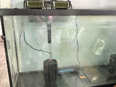 65 gallon aquarium with everything pictured