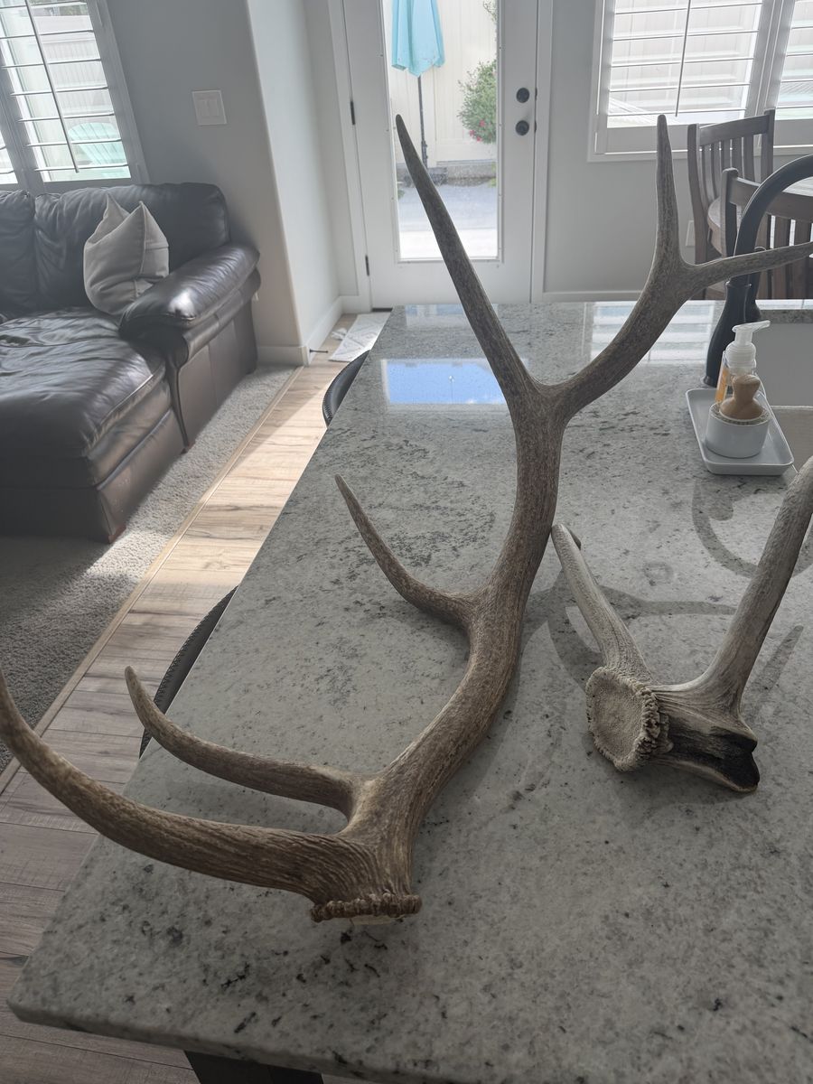 Elk shed 