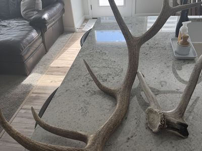 Elk shed