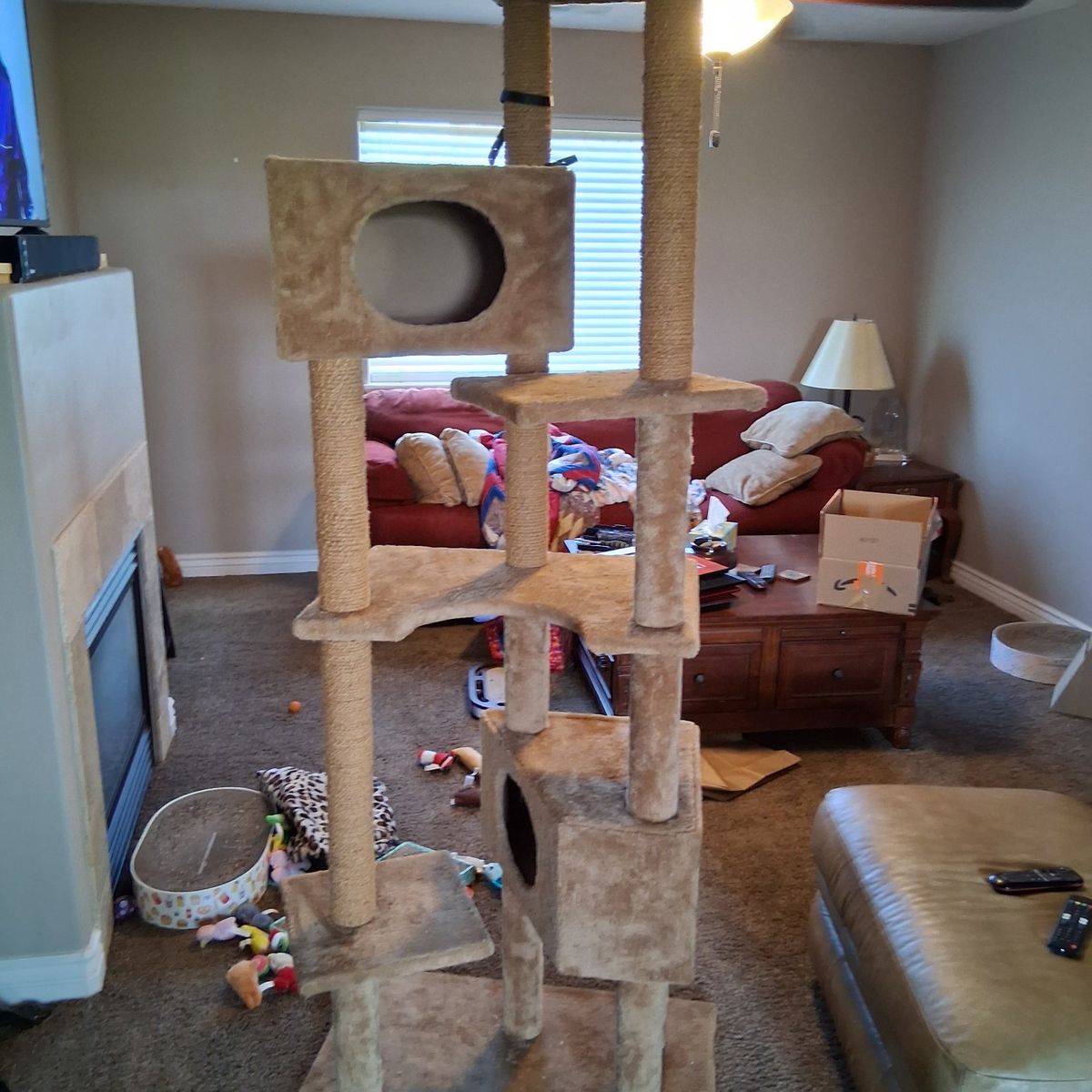 Petco Cat tree