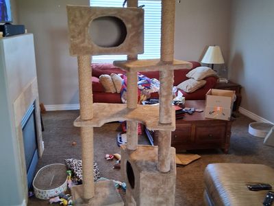 Petco Cat tree