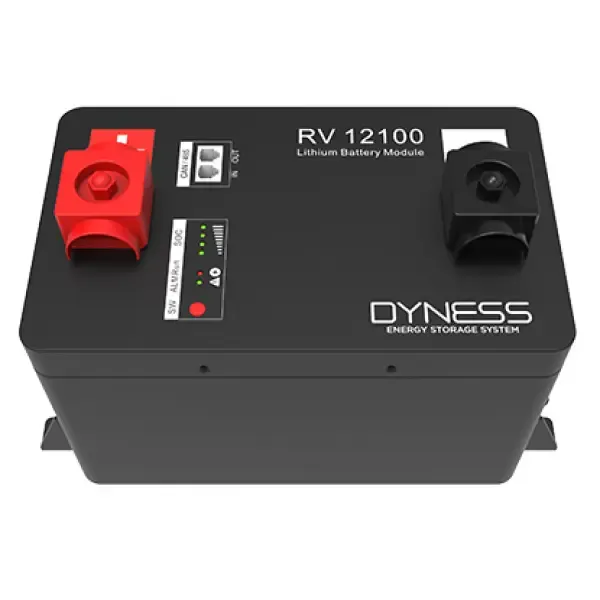 Dyness RV Lithium Battery Module