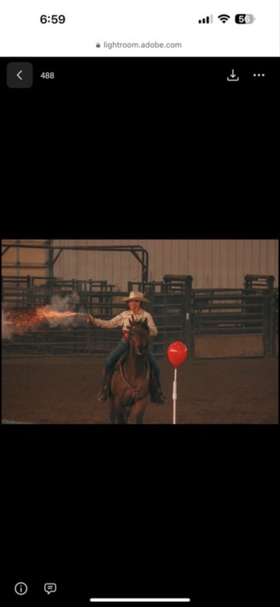Experienced Trail and Mounted Shooting Horse