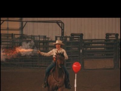 Experienced Trail and Mounted Shooting Horse