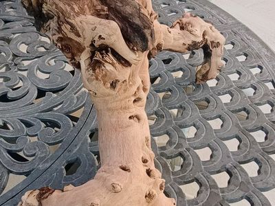 fish tank dry wood large