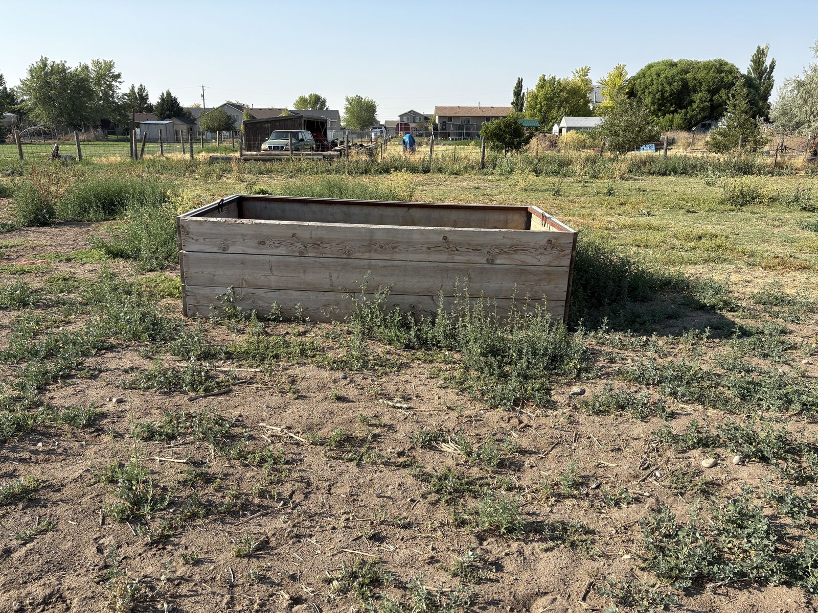 Horse feeder