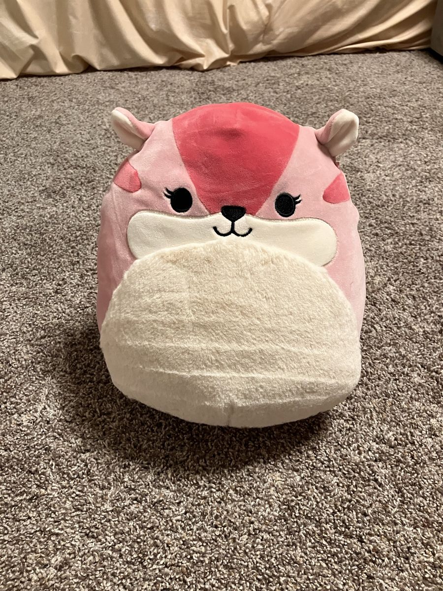 11 inch Dianalee squirrel Squishmallow