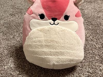 11 inch Dianalee squirrel Squishmallow