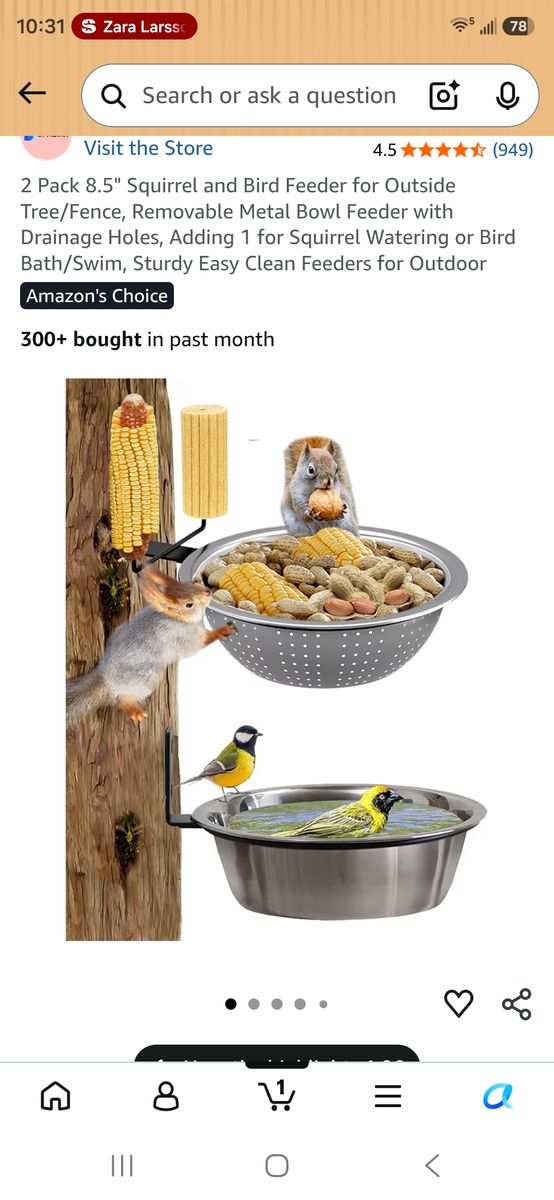 2 Pack 8.5" Squirrel and Bird Feeder for Outside Tree/Fence, Removable Metal Bowl Feeder