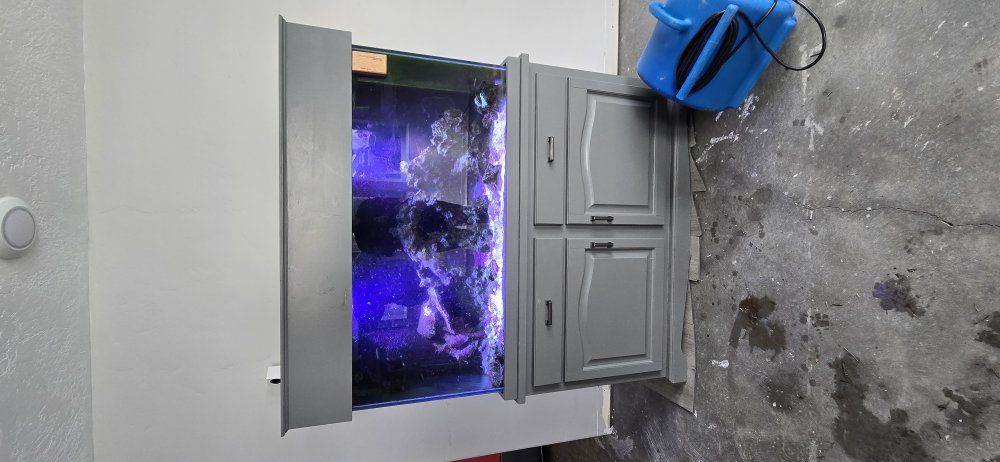 2 saltwater fish tanks. Need gone immediately