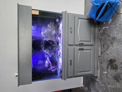 2 saltwater fish tanks. Need gone immediately