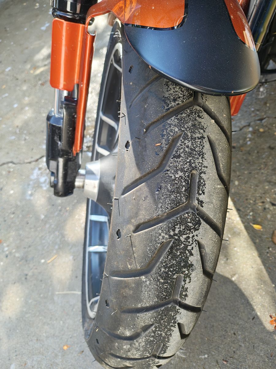 2019 Harley Davidson FLSB