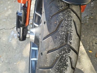 2019 Harley Davidson FLSB