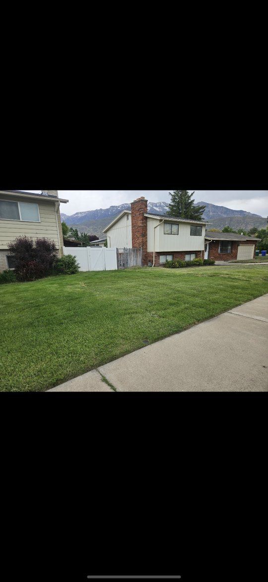 Main image 11