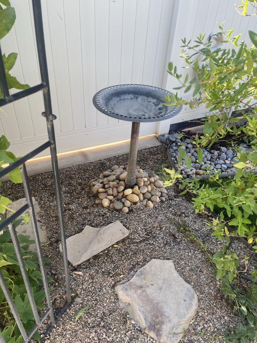Vintage Metal Bird Bath with Decorative Rim and Weathered Finish