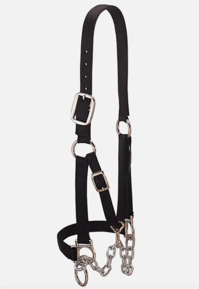 Weaver Livestock Heavy Duty Black Cattle Halter Medium w/ Chain Lead Adjustable