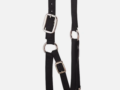 Weaver Livestock Heavy Duty Black Cattle Halter Medium w/ Chain Lead Adjustable