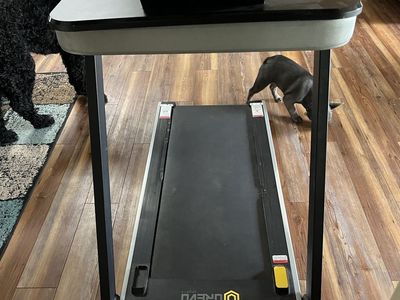 Walking Pad. Can go under desk with arms down or has a desk piece to go on top.