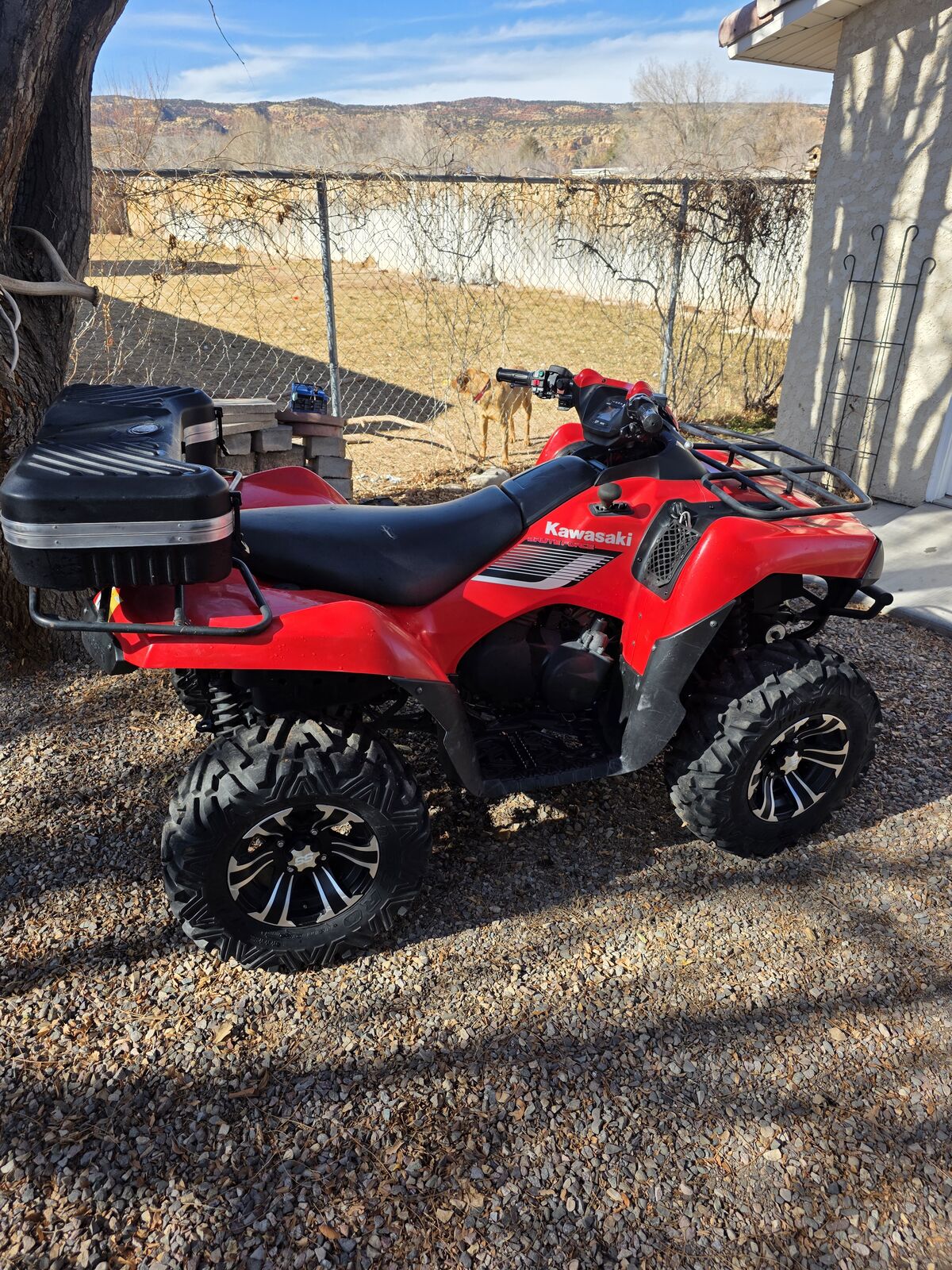 Kawasaki brute force 650