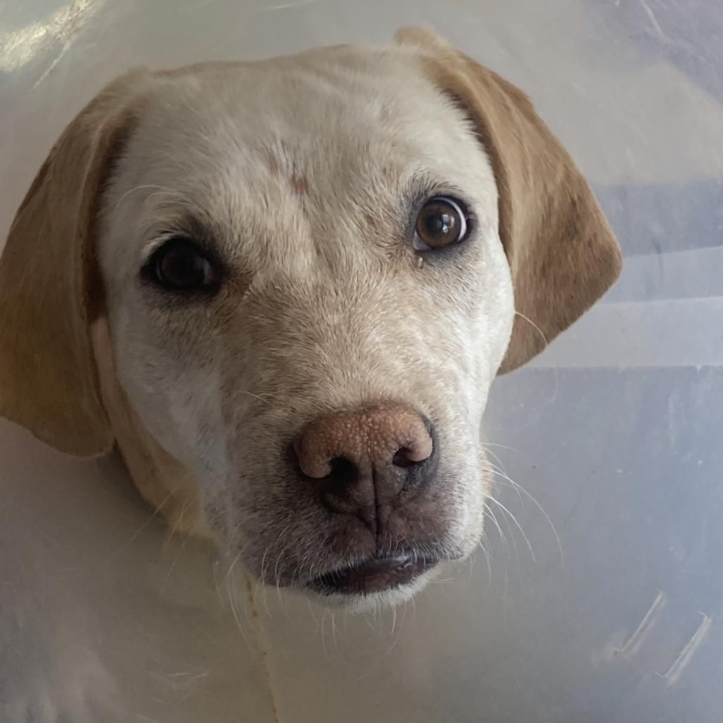 Hello my name is Julian