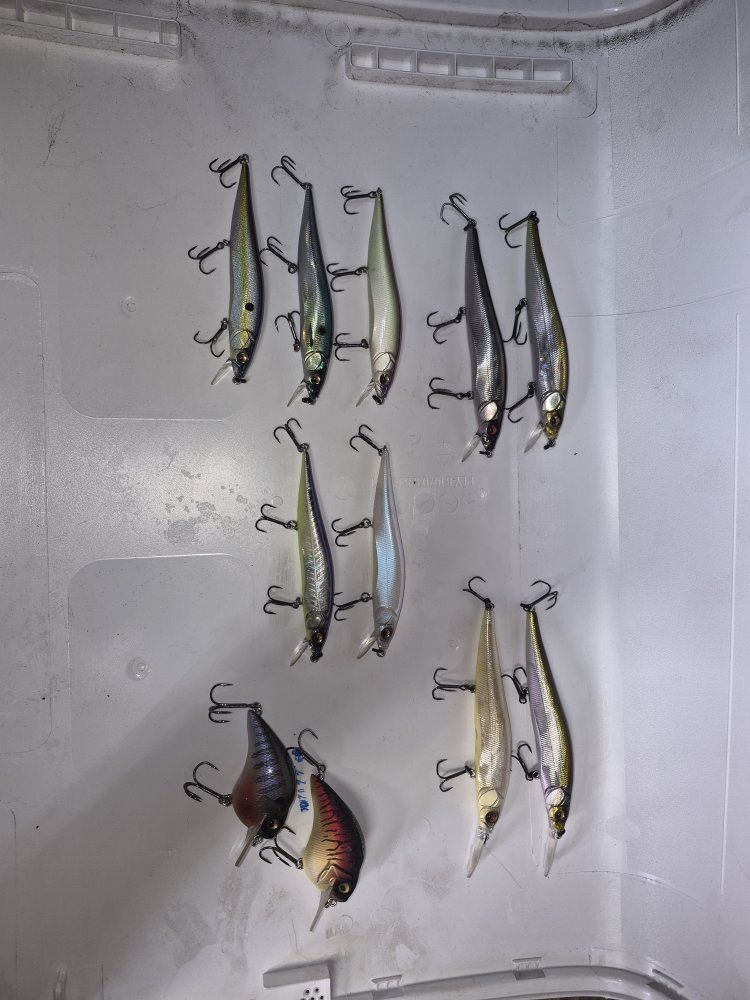 mega bass fishing lures