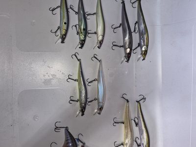 mega bass fishing lures