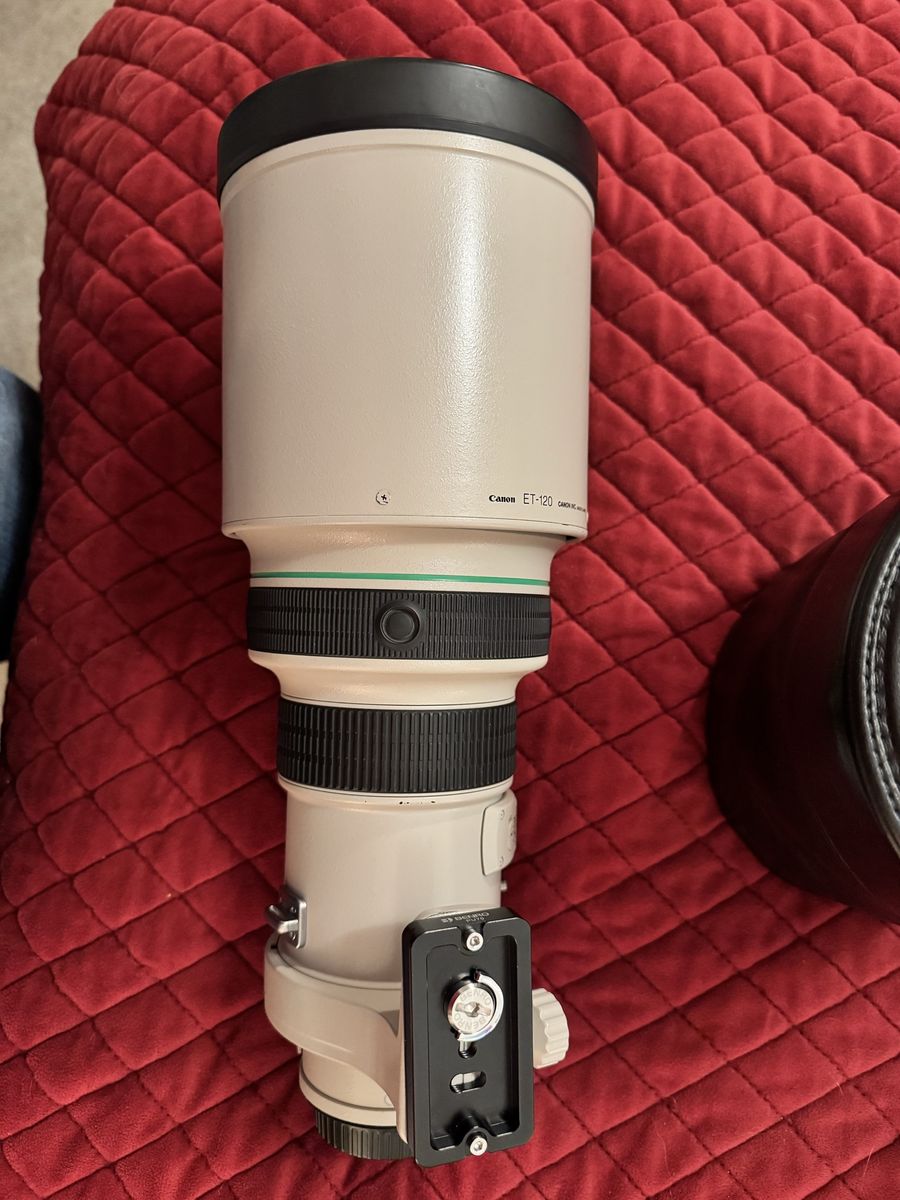 Canon EF 400mm F4 DO IS USM version 1