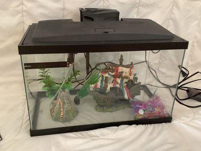 5 Gallon Fish tank w accessories