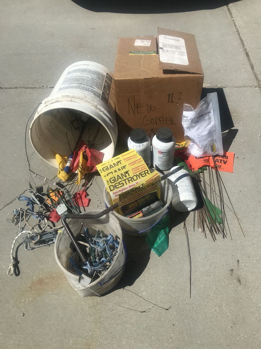 Gopher or small rodent traps